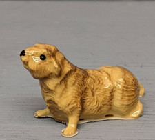 pig supplies guinea pet for sale  Spring Hill