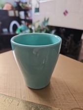 Mini orchid plant for sale Mini orchid plant for sale  WAKEFIELD