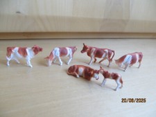 Rinder gebraucht kaufen  Tuttlingen