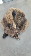 Fourrure renard tour d'occasion  Mennecy