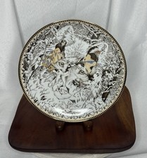 Diana casey shared for sale  Jackson