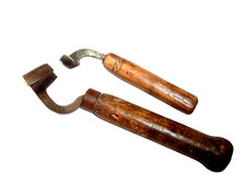 Belles rainettes forestier d'occasion  Mirambeau