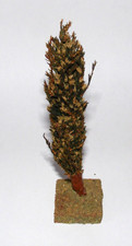 Pappel baum ddr gebraucht kaufen  Berlin