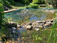 Natursteine findlinge vorhande gebraucht kaufen  Bad Dürrenberg