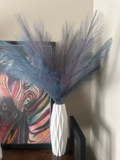 15pcs natural dried for sale  Laveen