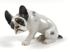 Französische bulldogge hund gebraucht kaufen  Deutschland