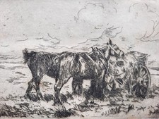 John nicolson horses for sale  LONDON