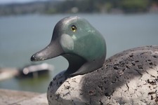 Goldeneye drake decoy for sale  Lincoln City