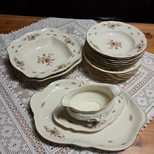 Rosenthal essservice moosrose gebraucht kaufen  Grevenbroich