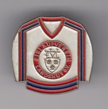 Eishockey pin nhl gebraucht kaufen  Deutschland