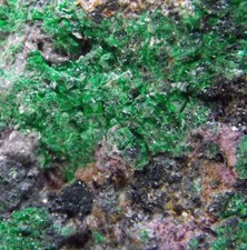 Uvarovite kammererite crystals for sale  Bisbee