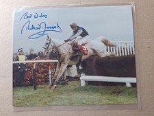 Richard dunwoody horse for sale  SOUTHPORT