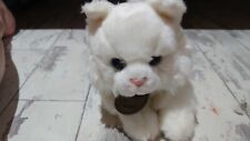 Yomiko white persian for sale  GATESHEAD