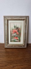 Red poppy daisy for sale  FORDINGBRIDGE