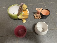 Kleine blumentöpfe gebraucht kaufen  Großrosseln