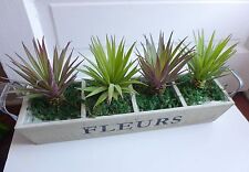 Agaves artificial plastic for sale  Indianapolis