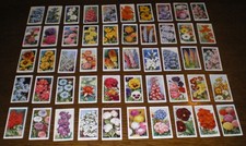 Set wills garden for sale  PRESTON