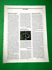 Clipping ritaglio giornale usato  Italia