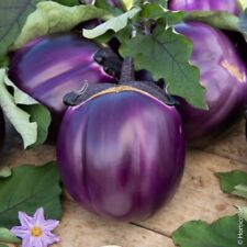 Lot graines aubergine d'occasion  Chazelles