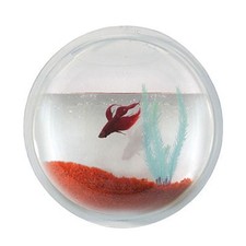 Wall mounted fish for sale  San Diego