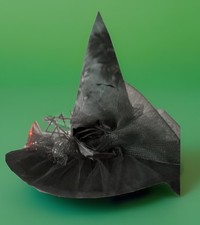 Elegant black witch for sale  Eugene