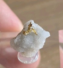 Fantastische goldkristalle qua gebraucht kaufen  Mainz