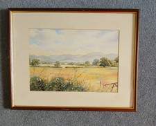 Original framed watercolour for sale  WARMINSTER