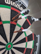 Shot steeldarts pro gebraucht kaufen  Grömitz