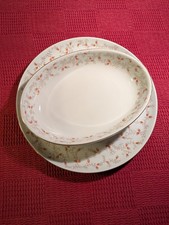 Alt schönwald porzellan gebraucht kaufen  Pforzheim