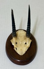 1960 african steenbok for sale  Carthage