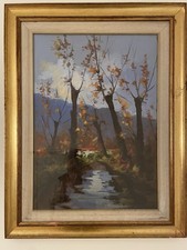 Franco bertulli brescia usato  Cremona