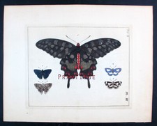 1770 drury dru usato  Urbino