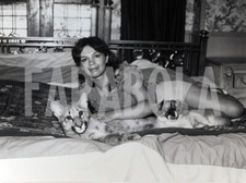 Vintage animali compagnia usato  Roma