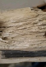 Large piece natural for sale  Fort Myers