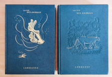 Vie animaux léon d'occasion  Berck