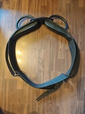 Leder longier voltigiergurt gebraucht kaufen  Bad Friedrichshall