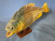 Vintage piranha fish for sale  Glendale