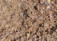 wurm kompost gebraucht kaufen wurm kompost gebraucht kaufen Bienenbüttel