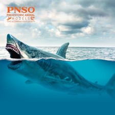 Pnso patton megalodon usato  Magenta