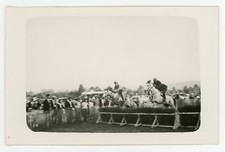 Photo équitation saut d'occasion  Avignon