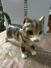 Cooper craft tabby for sale Cooper craft tabby for sale  BARROW-IN-FURNESS