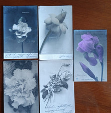 Lotto cartoline fiori usato Lotto cartoline fiori usato  Roma
