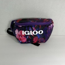 Igloo seaside fanny for sale  Tolleson