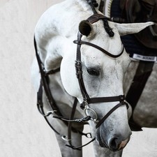 Sweden london snaffle for sale  GRAVESEND