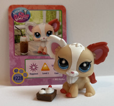 Chihuahua dog 228 for sale  Simpsonville