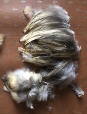 Lot plumes cou d'occasion  Eaubonne