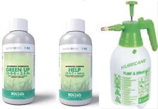 Bottos green 1lt usato  Muro Lucano