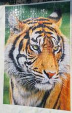 Tiger puzzle 1000 gebraucht kaufen  Ammerthal
