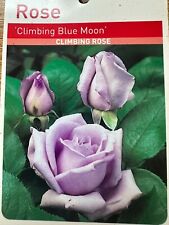Potted litre climbing for sale  ALFRETON