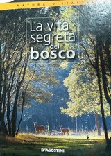 Vita segreta del usato  Zanica
